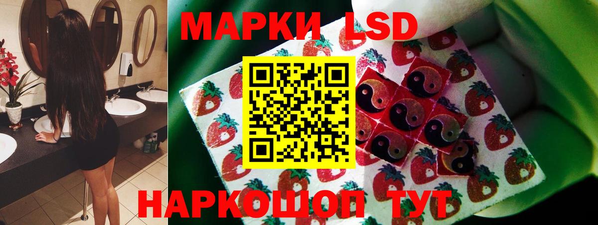 ЛСД экстази кислота  Вход с VPN  Новоалександровск  Лсд 25 экстази кислота 