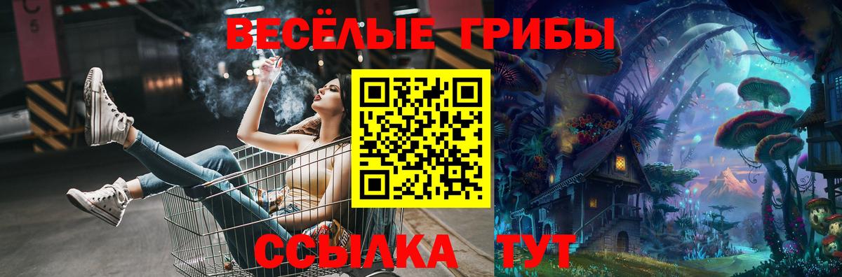 Псилоцибиновые грибы GOLDEN TEACHER Новоалександровск